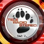 logo TeleRadioStereo