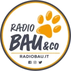 logo Radio Bau &Co