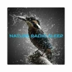 logo Nature Radio Sleep
